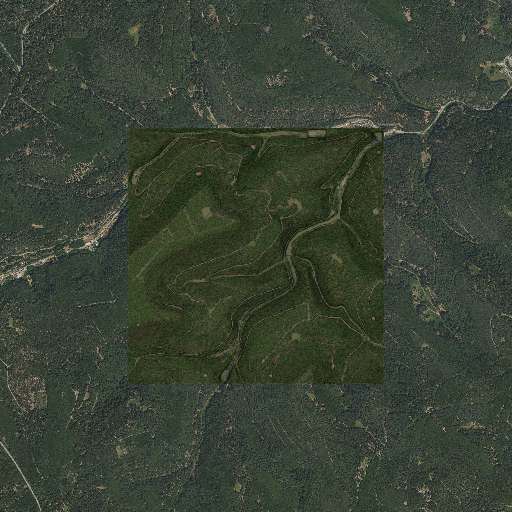 Palatinate Forest