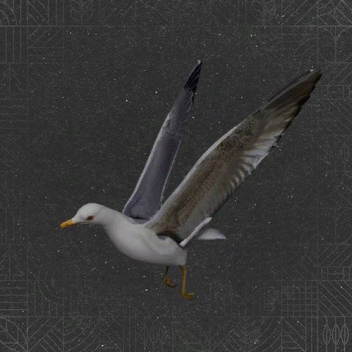 FS25_FieldGulls